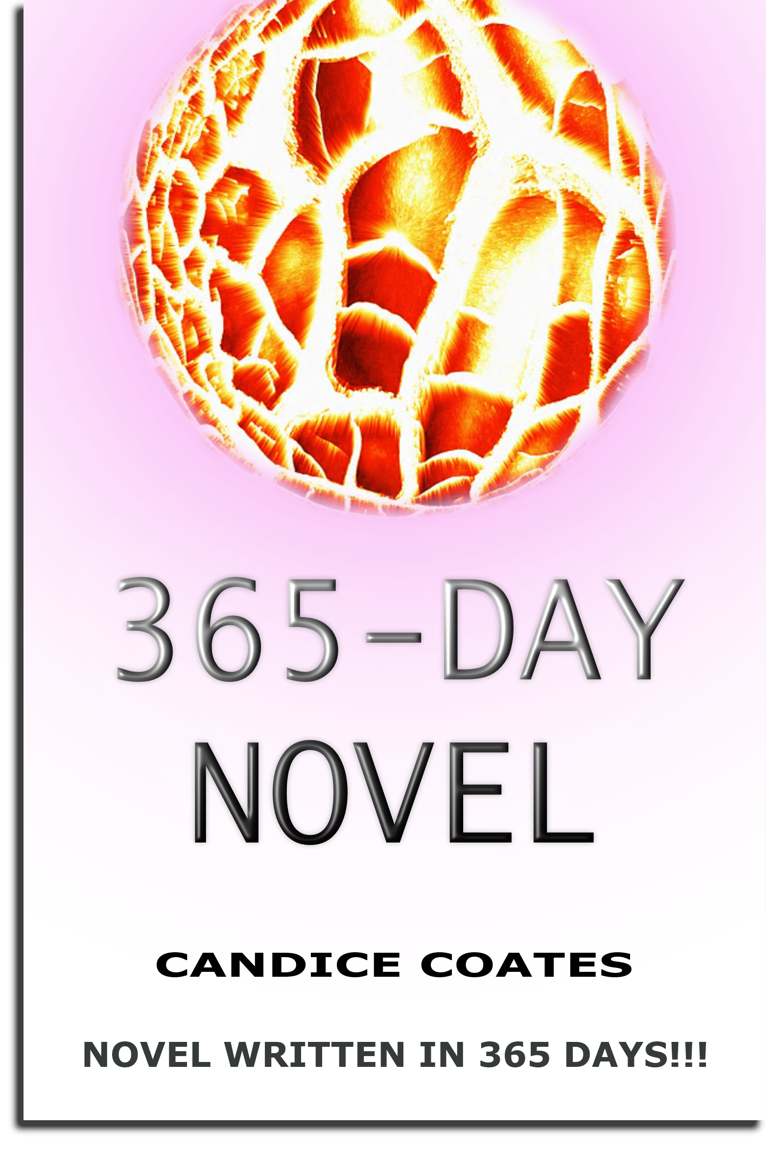 365 DAY NOVEL