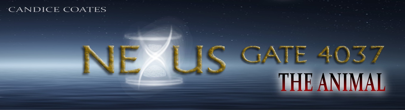 Nexus Gate 4037 Use Banner Picture image